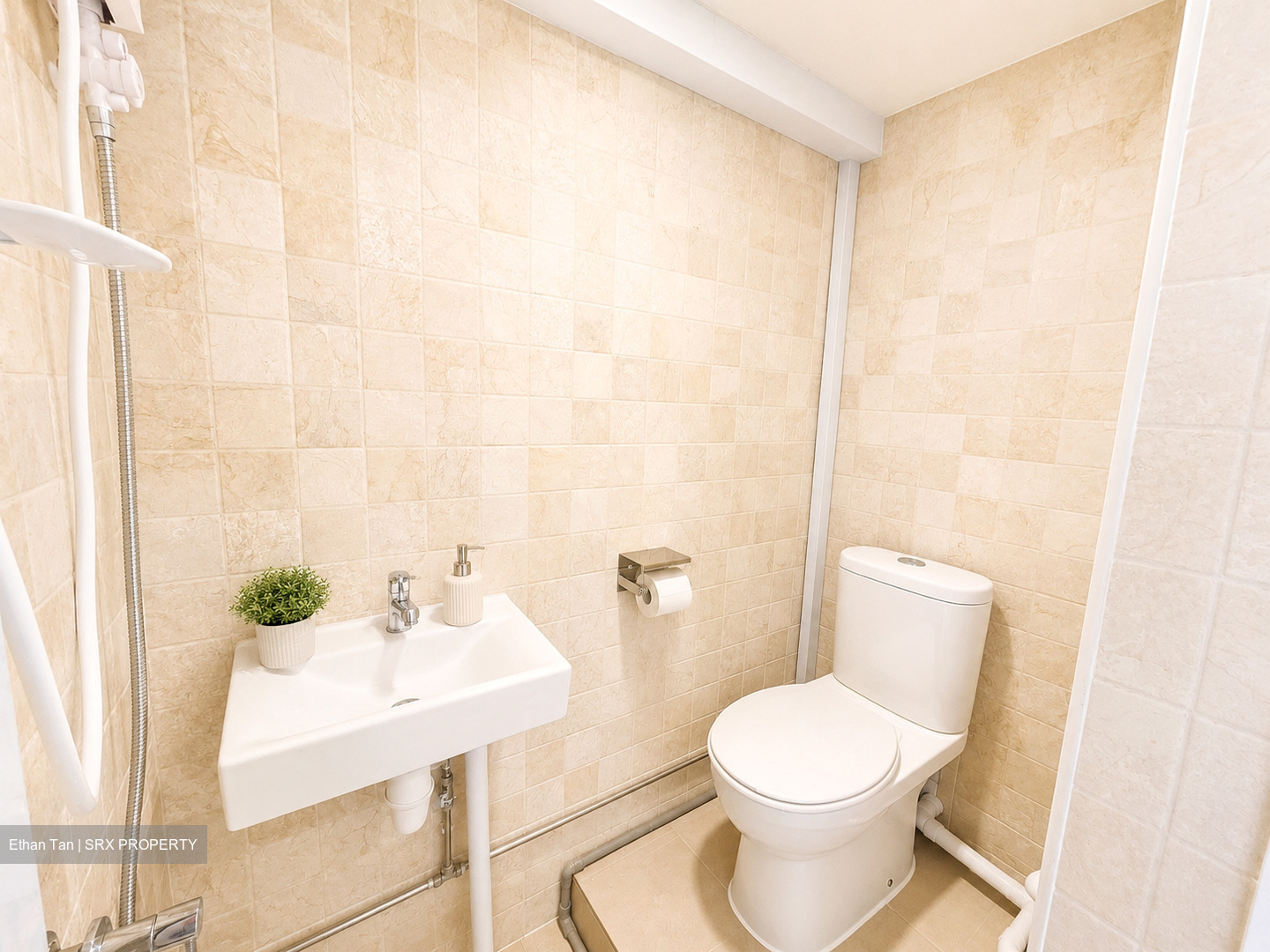 Dunearn Road (D11), Condominium #570905861